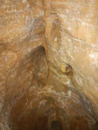 04_Nidle_191x255_03.jpg
